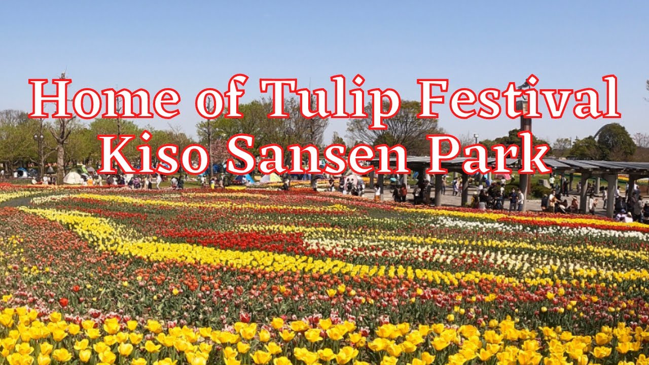 Home of Tulip Festival Kiso Sansen Park
