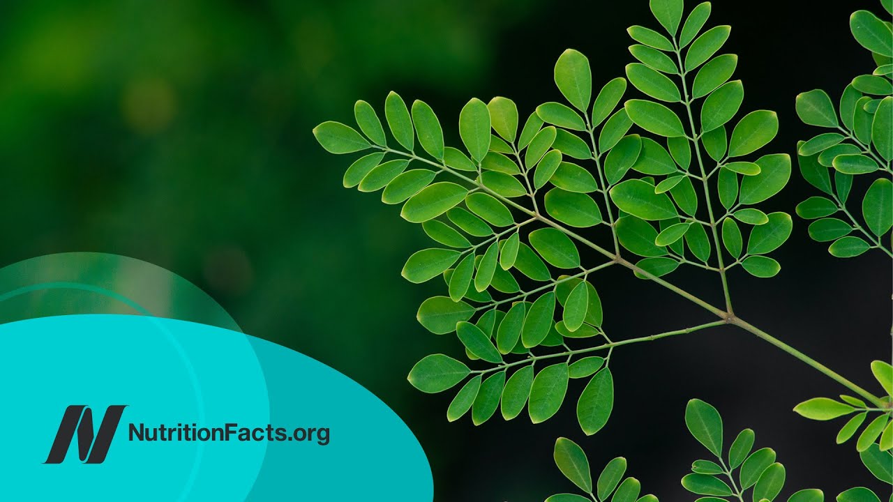 The Benefits of Moringa: Is It the Most Nutritious Food?