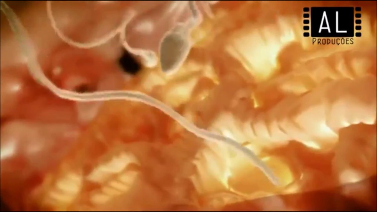 Mensagem do bebê ainda no ventre da mãe para o seu papai