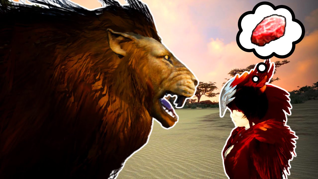 BDO Gathering for Profit: Valencia Lion Meat Guide