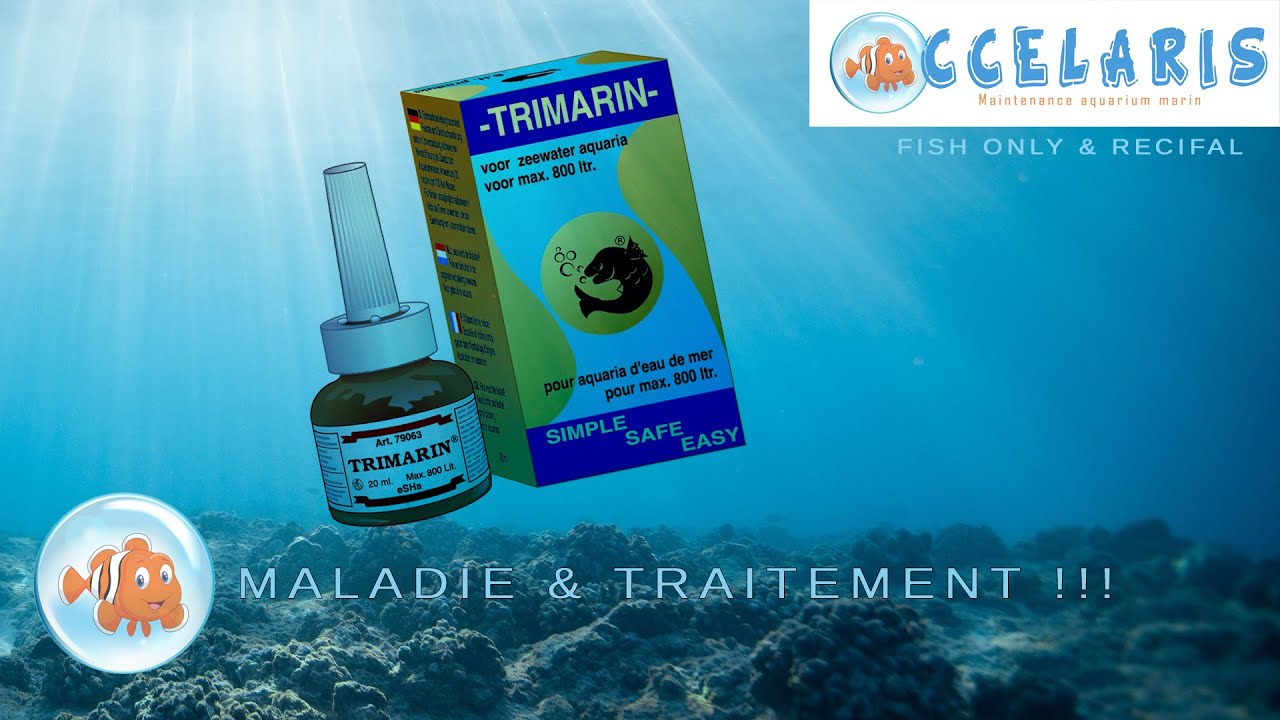 MALADIE & TRAITEMENT !!!