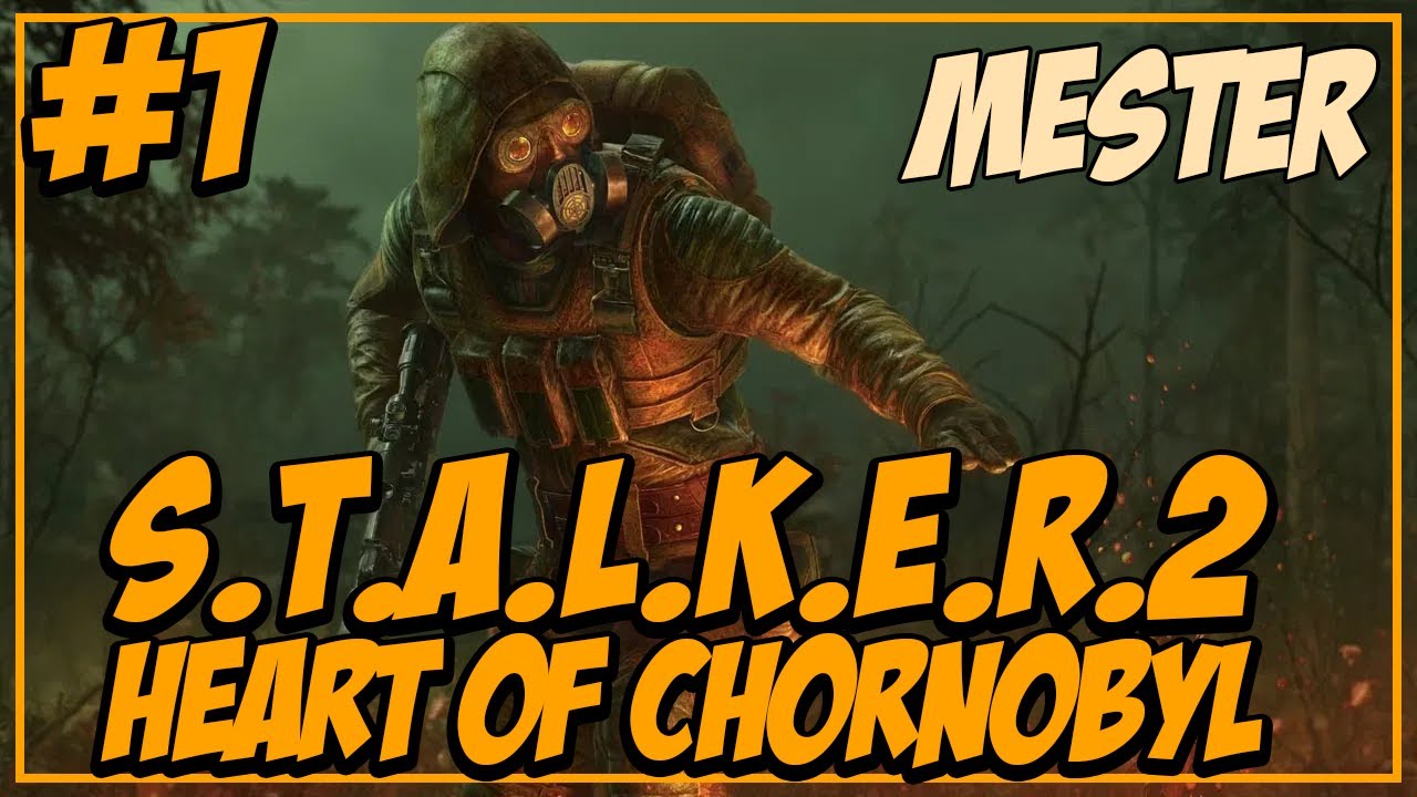 A Zóna büntetése, komolyan gondoltam - S.T.A.L.K.E.R. 2 (Mester)