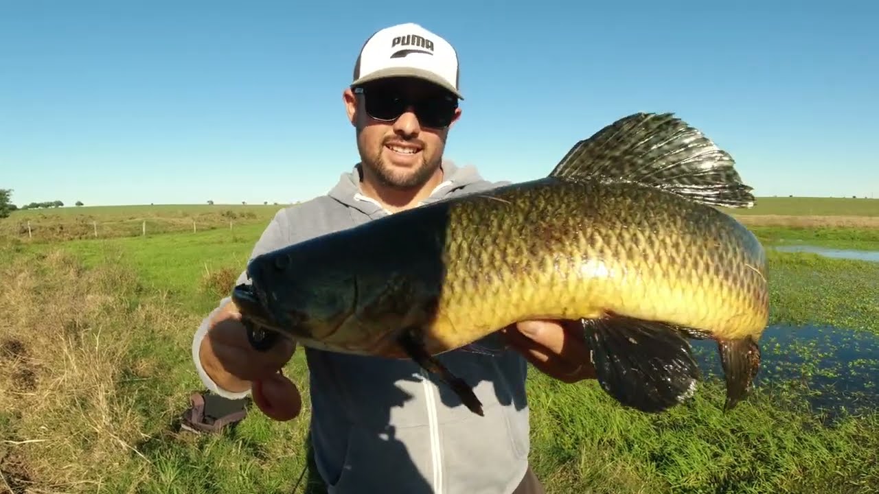 PESCA DE TARARIRAS EN MAYO 2022,  MUCHO FRIO AGUA HELADA  ( ESPECIAL 500 SUB )