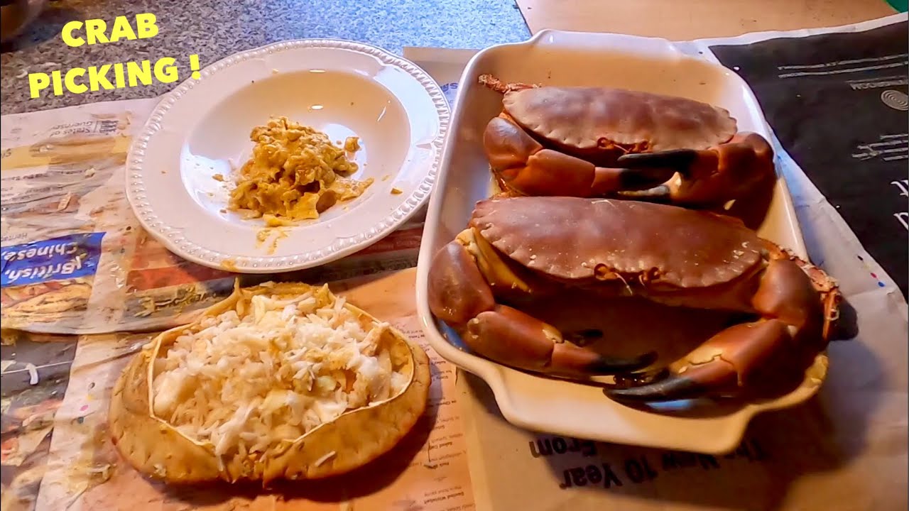 BROWN EDIBLE CRAB - How To Cook , Pick & Prepare a Big Crab