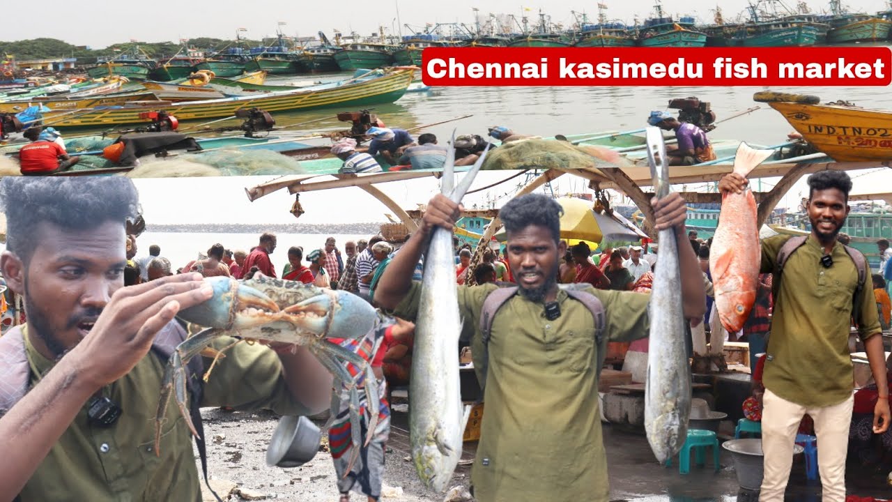 Kasimedu fish market review|| Asian biggest fish market in Chennai kasimedu||Kasimedu fresh fish||