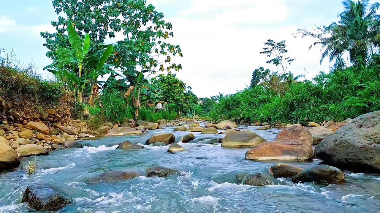 Mountain River Flow for Deep Sleep Aid
