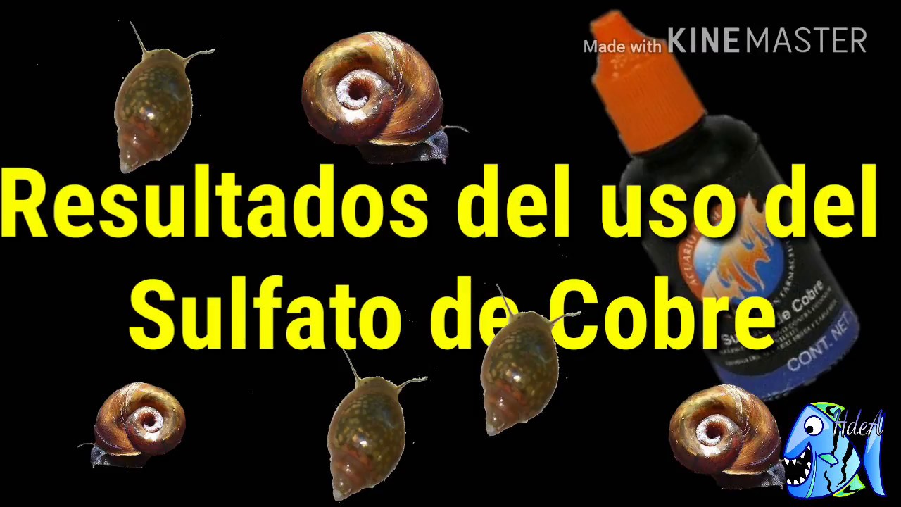 Resultados del uso del Sulfato de Cobre