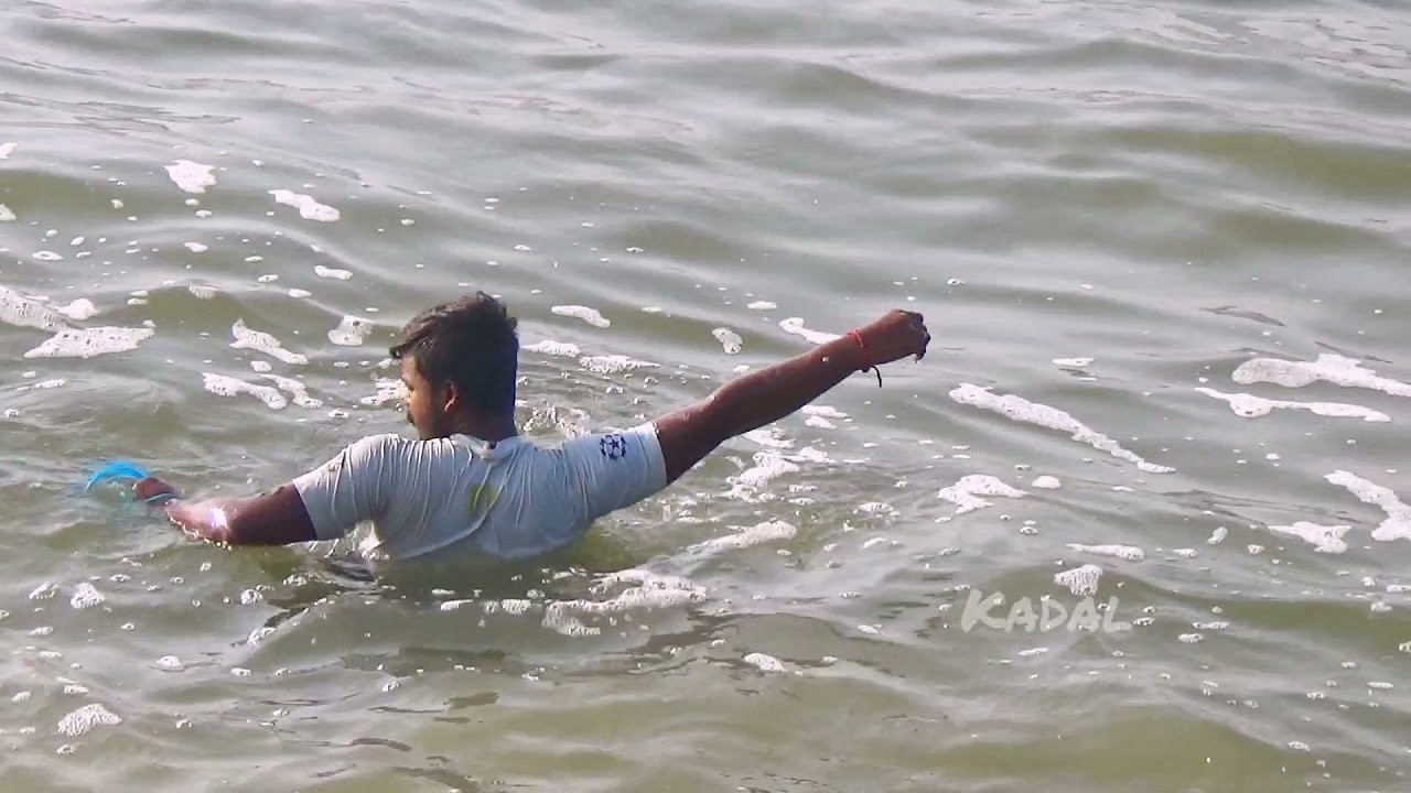 traditional net fishing 🎣  / pondicherry fishing harbour