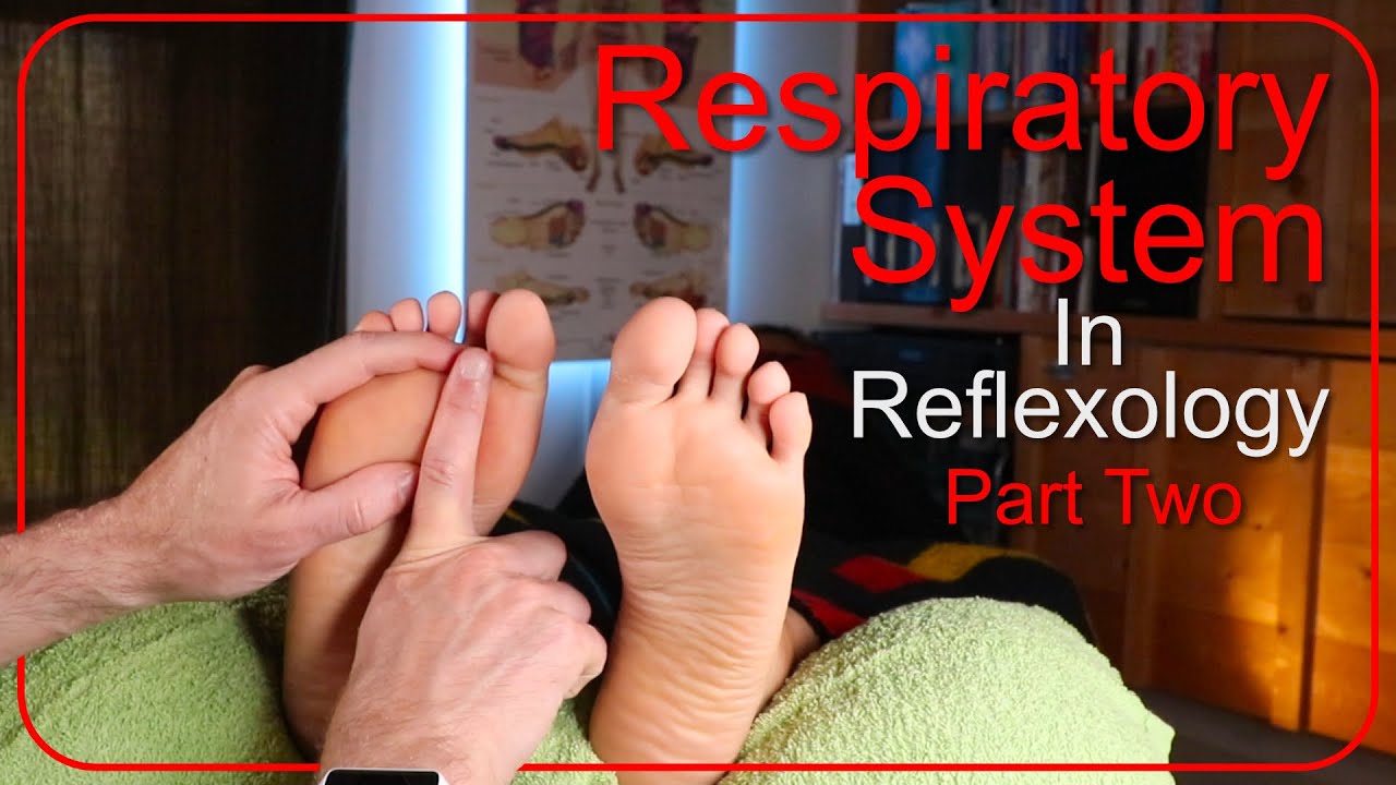 How to work the respiratory system in reflexology PART 2