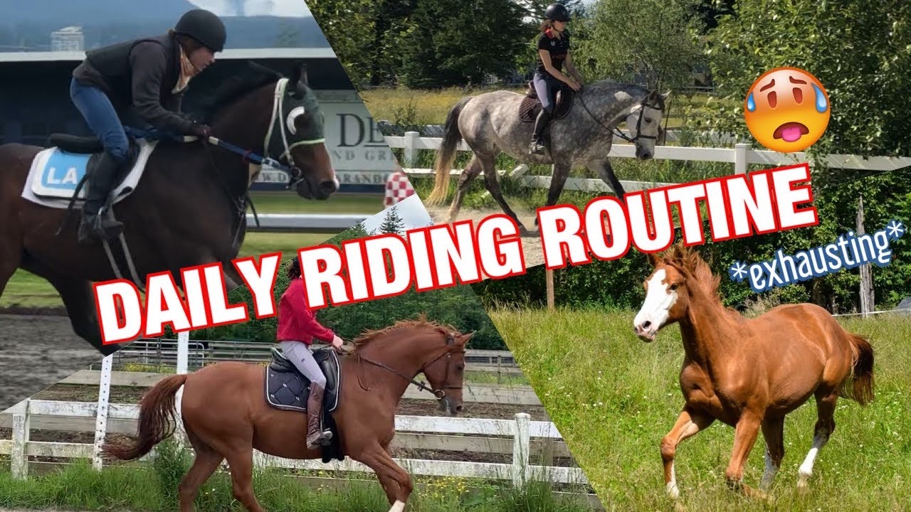 MY DAILY ROUTINE TRAINING HORSES| Barn Vlog