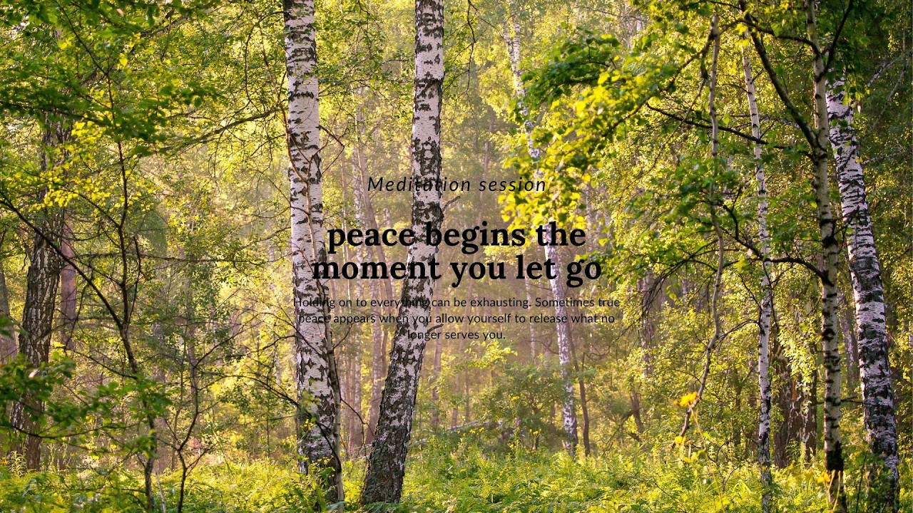 peace begins the moment you let go