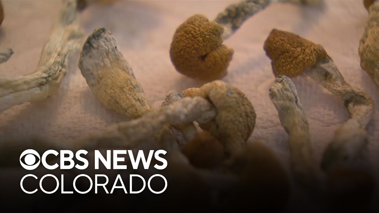 Colorado business expands into psilocybin therapy treatment