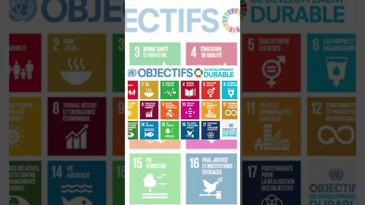 C'est quoi le #developpementdurable ?