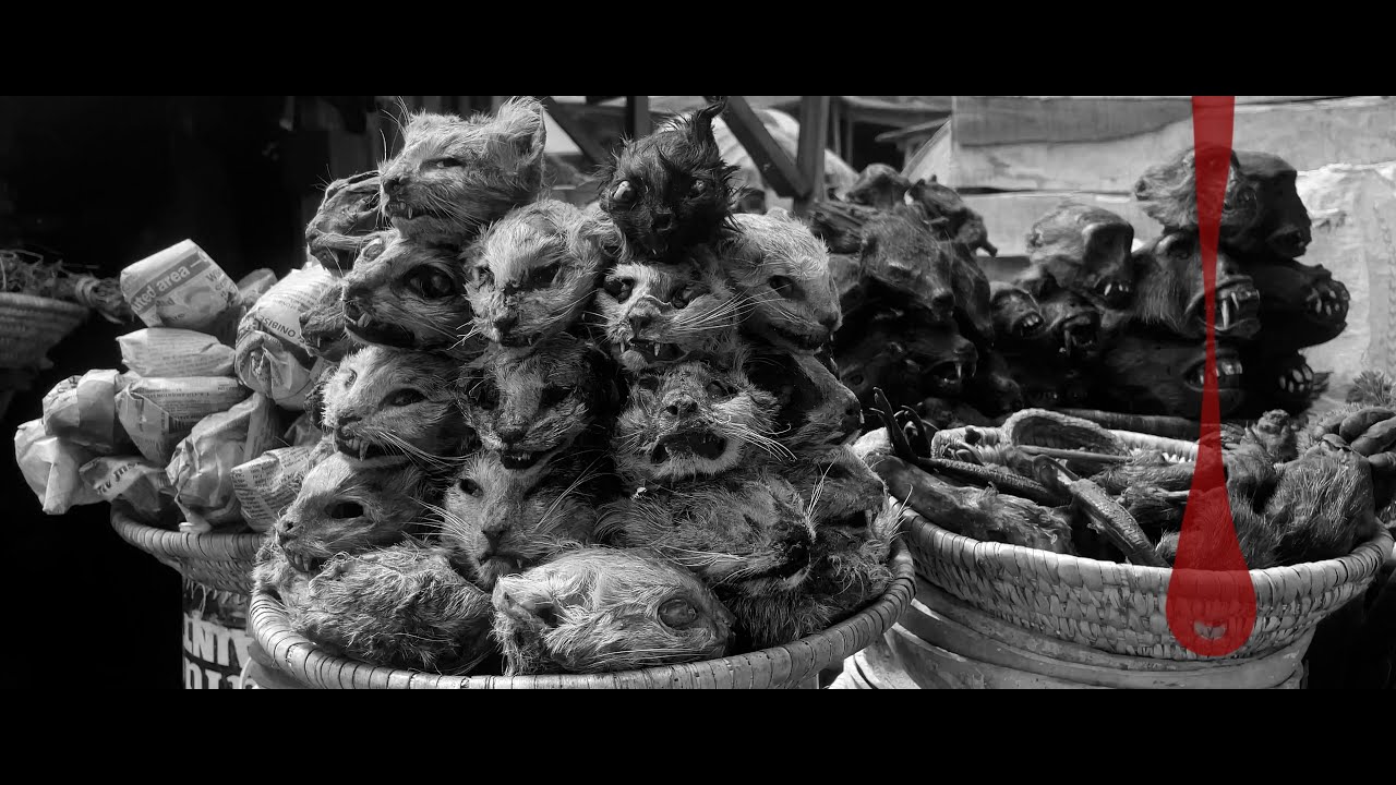 The Complete History and Origin of Money Ritual | Full Documentary