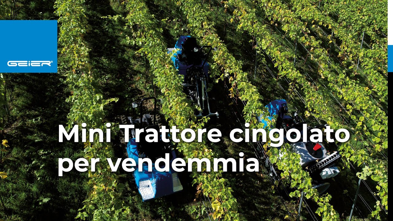 Mini trattore cingolato per raccolta uva e vendemmia |&nbsp;Geier cingolati