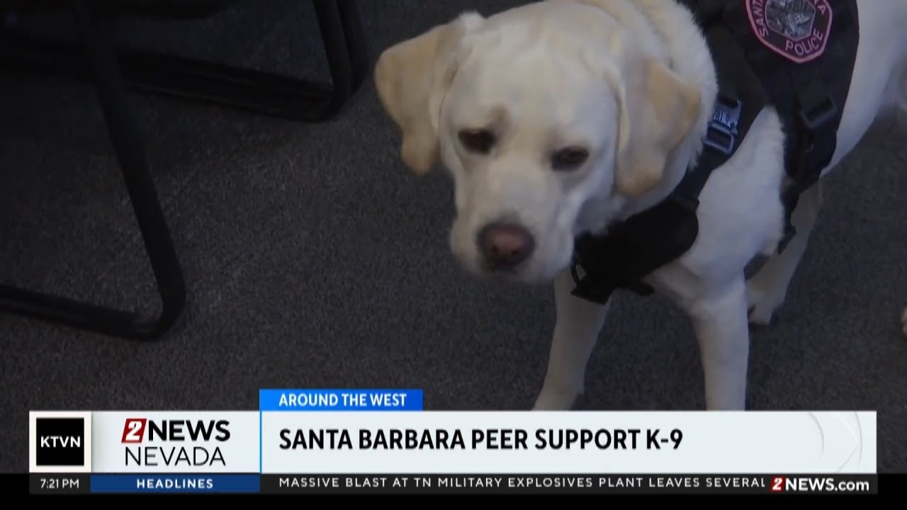 Santa Barbara Police peer support K9