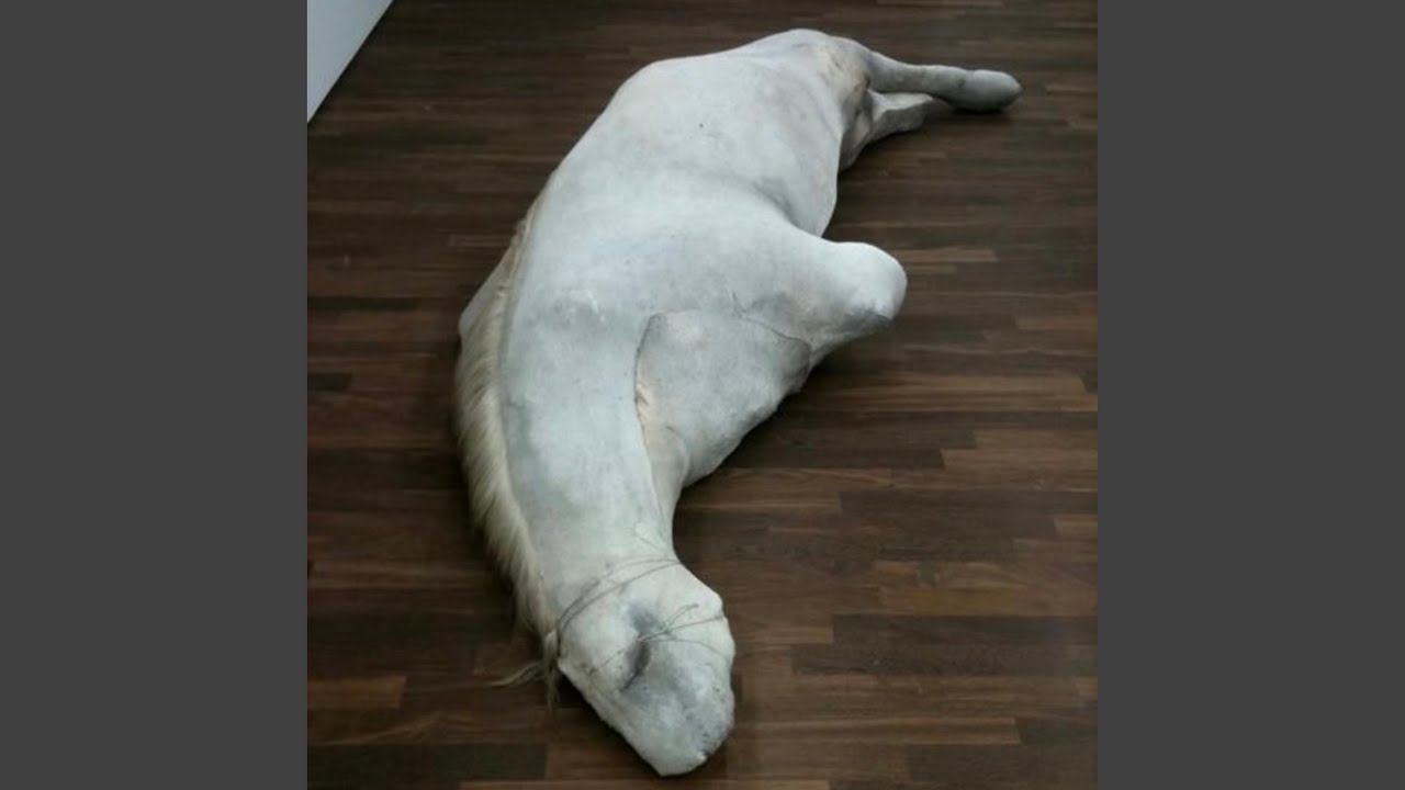 deep sleep