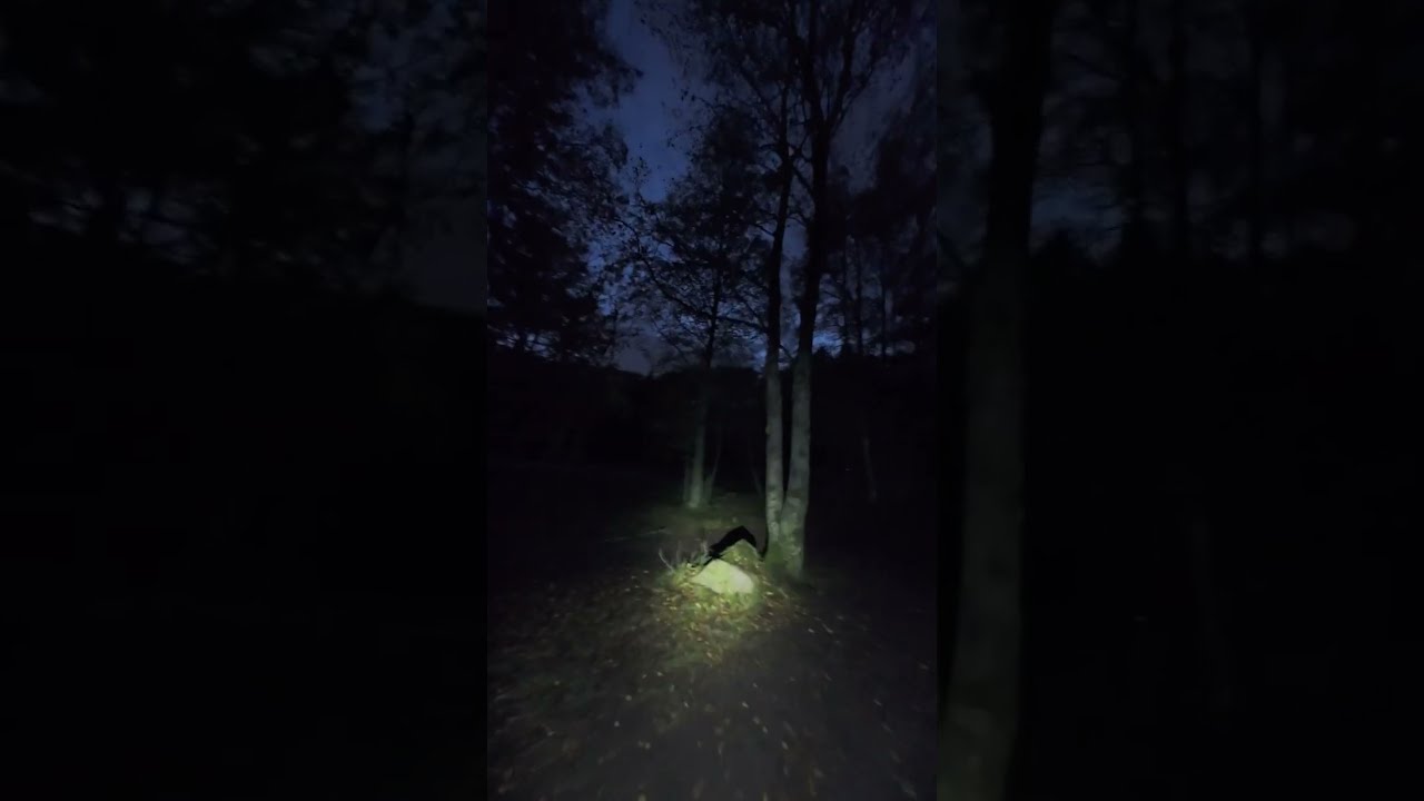Creepy night walk