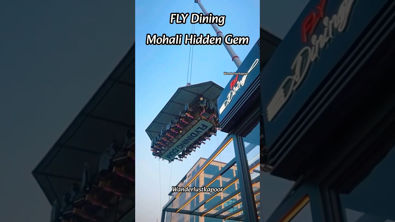Fly Dining Mohali -Hidden Gem Dining in Air #flydining #mohali #wanderlustkapoor #foodlover #shorts
