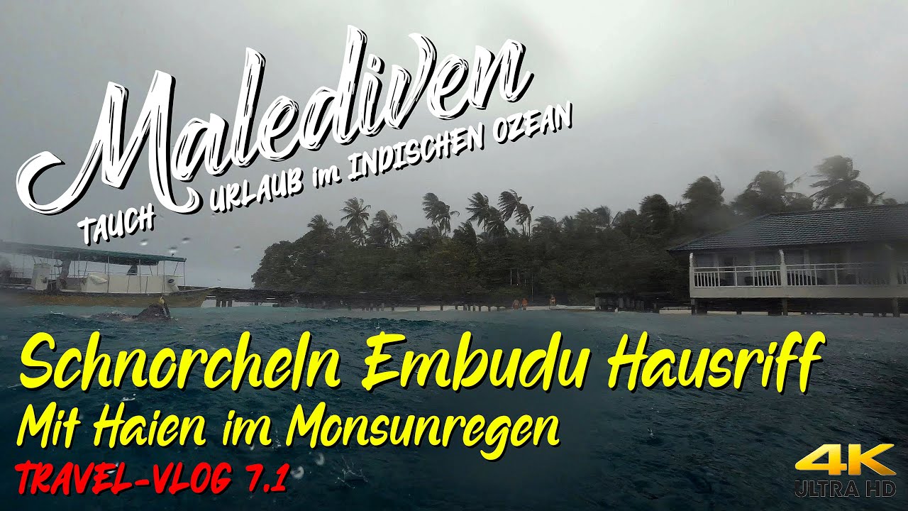MALEDIVEN 2021 - Embudu Island Hausriff  "Schnorcheln mit Haien im Monsunregen" 4K 🦈 Süd-Male Atoll