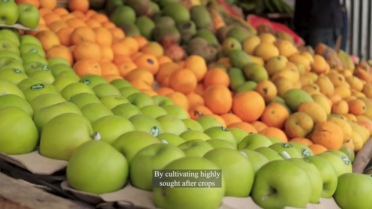 Food Security in East Africa: Challenges, Solutions, and the Road Ahead.