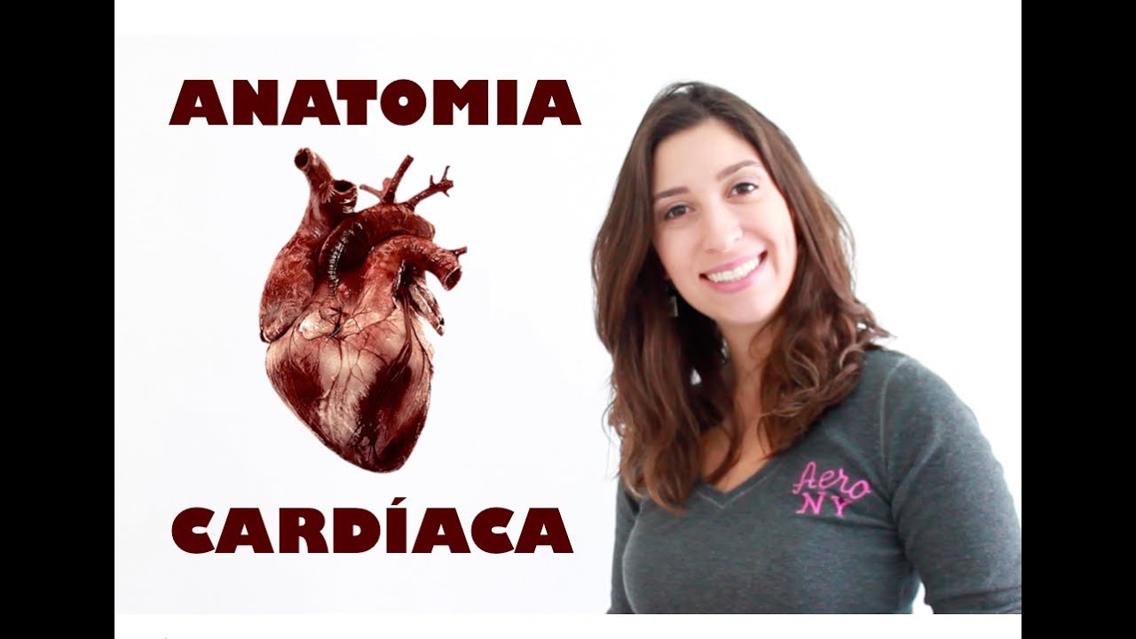 Anatomia Cardíaca Básica | Anatomia e etc.