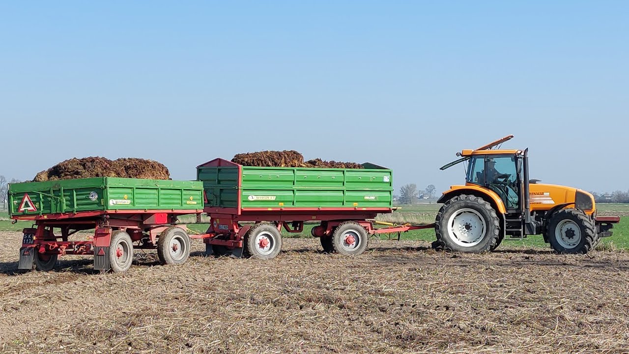 Wywóz obornika na pryzmę. Renault Ares 630RZ, Autosan D-55, Autosan D-47, Valtra A83, Quicke240P