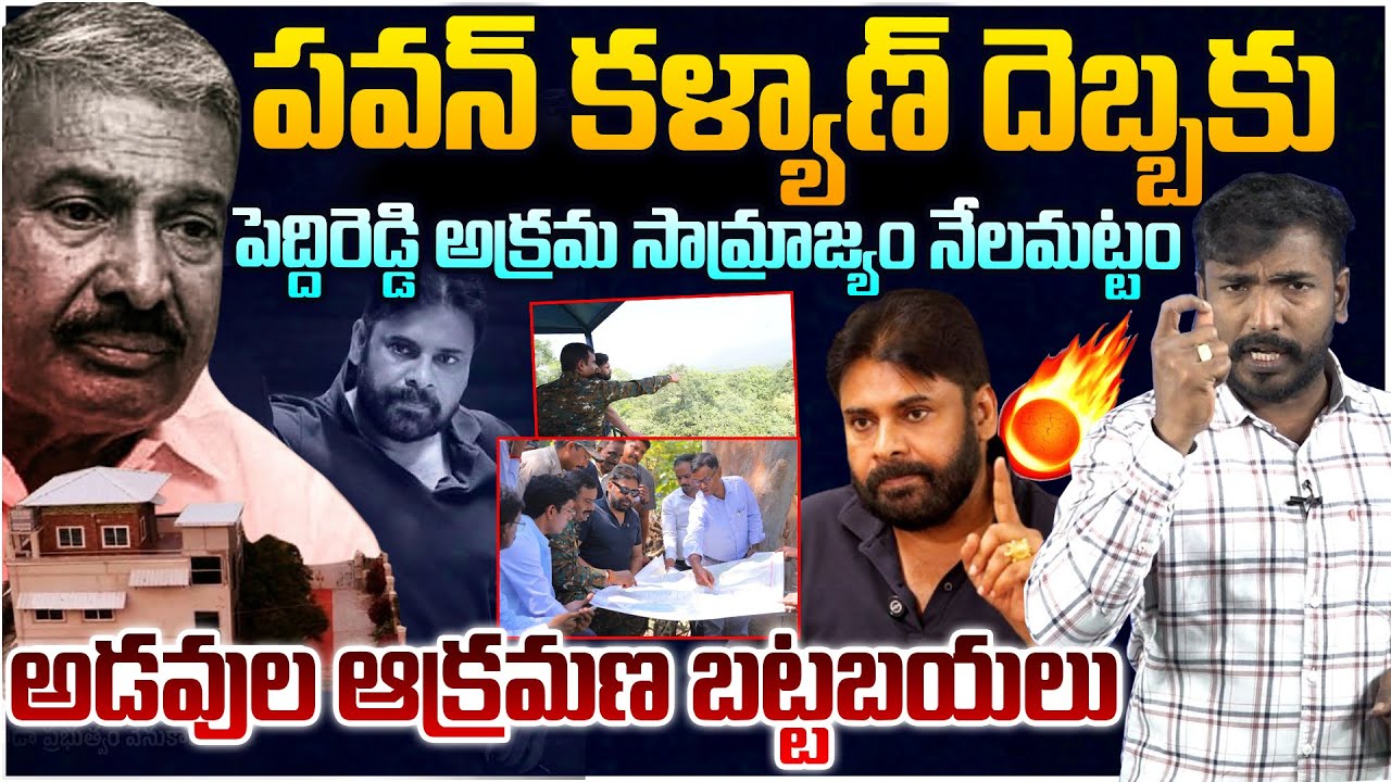 అడవుల ఆక్రమణ బట్టబయలు | DY CM Pawan Kalyan Gave BIG Shock To Peddireddy | Analyst Sudhakar