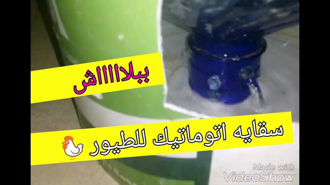 لن تضطري للذهاب لطيورك بشكل يومي بعد اليوم ||عمل سقايه ميه اوتوماتيك  للطيور  ببلاش🐓🐣
