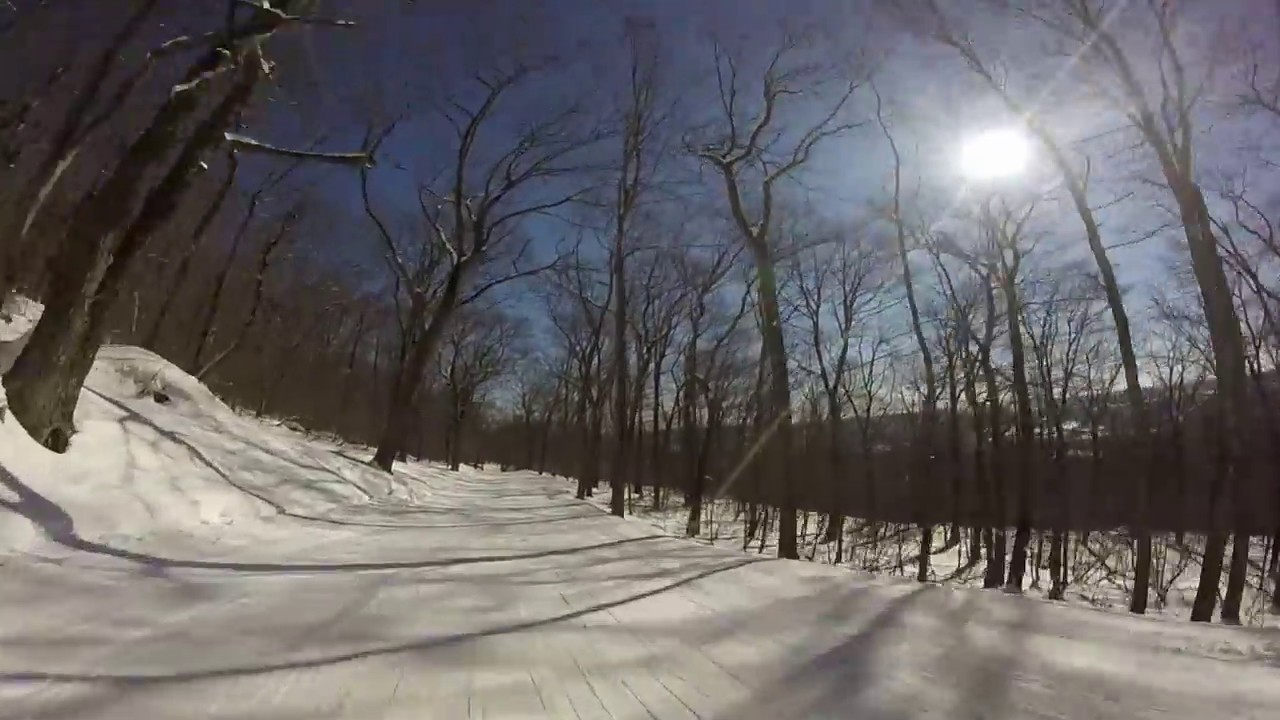 Elk Mountain - Lehigh Trail