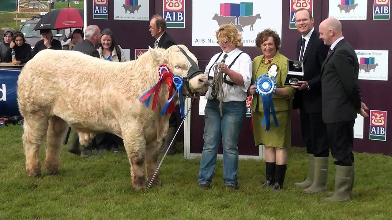 Tullamore Show Cattle Championships Presentation