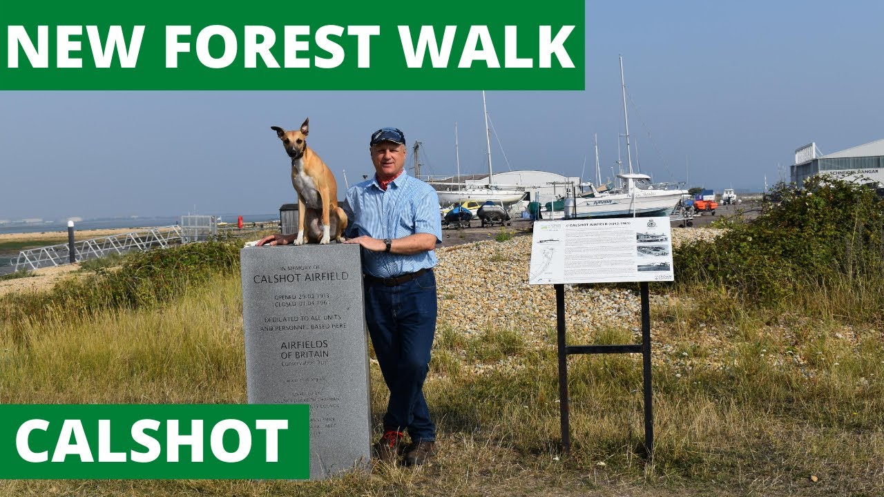 NEW FOREST WALK at CALSHOT (FROM ASHLETT CREEK) (NEW FOREST NATIONAL PARK)