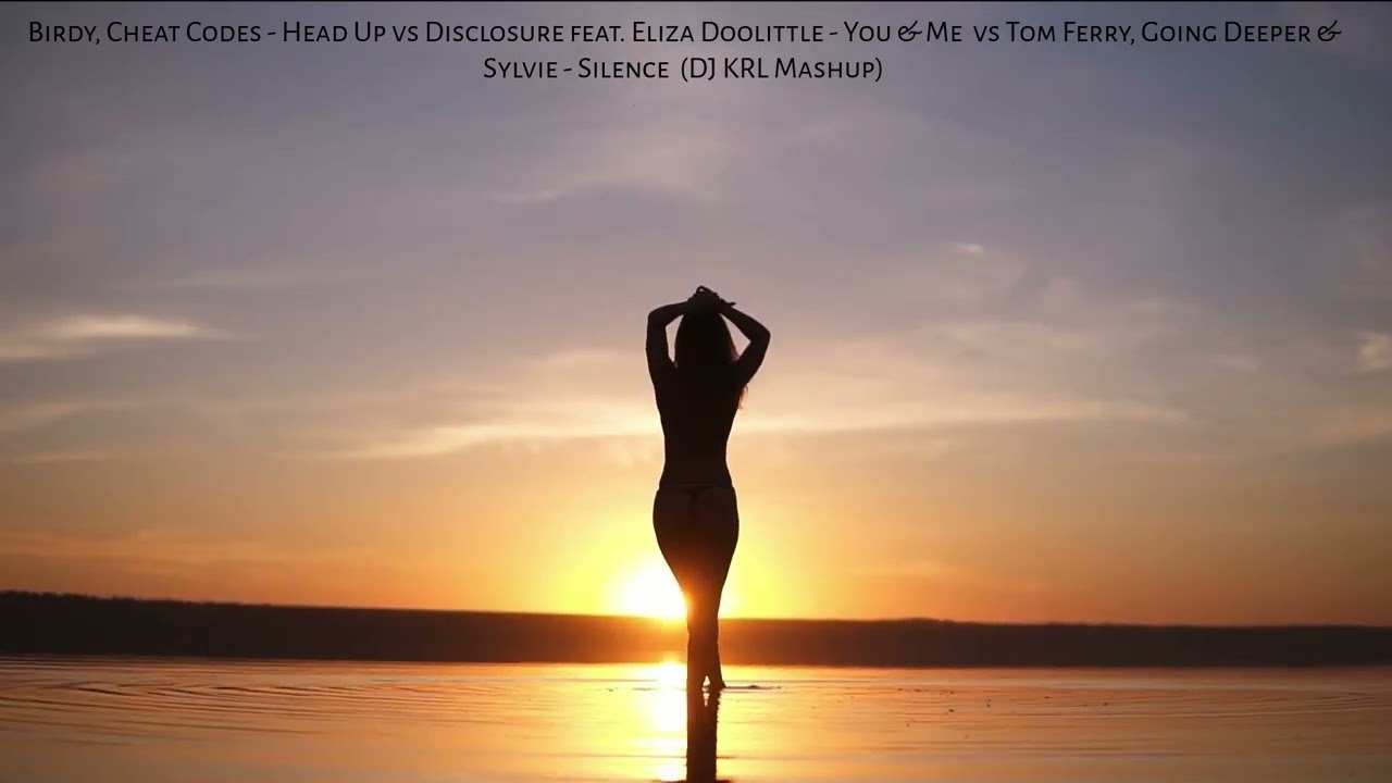 Birdy Cheat Codes - Head Up vs You & Me  vs Tom Ferry, Going Deeper & Sylvie - Silence DJ KRL Mashup