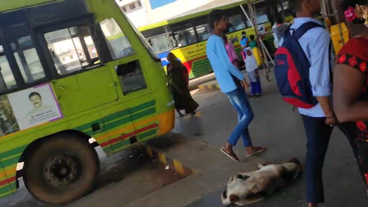 New Belagavi Bus stand|NWKRTC,KSRTC,KKRTC,MSRTC,Interiors MSRTC new Lalpari,Yallamma jatra spl buses