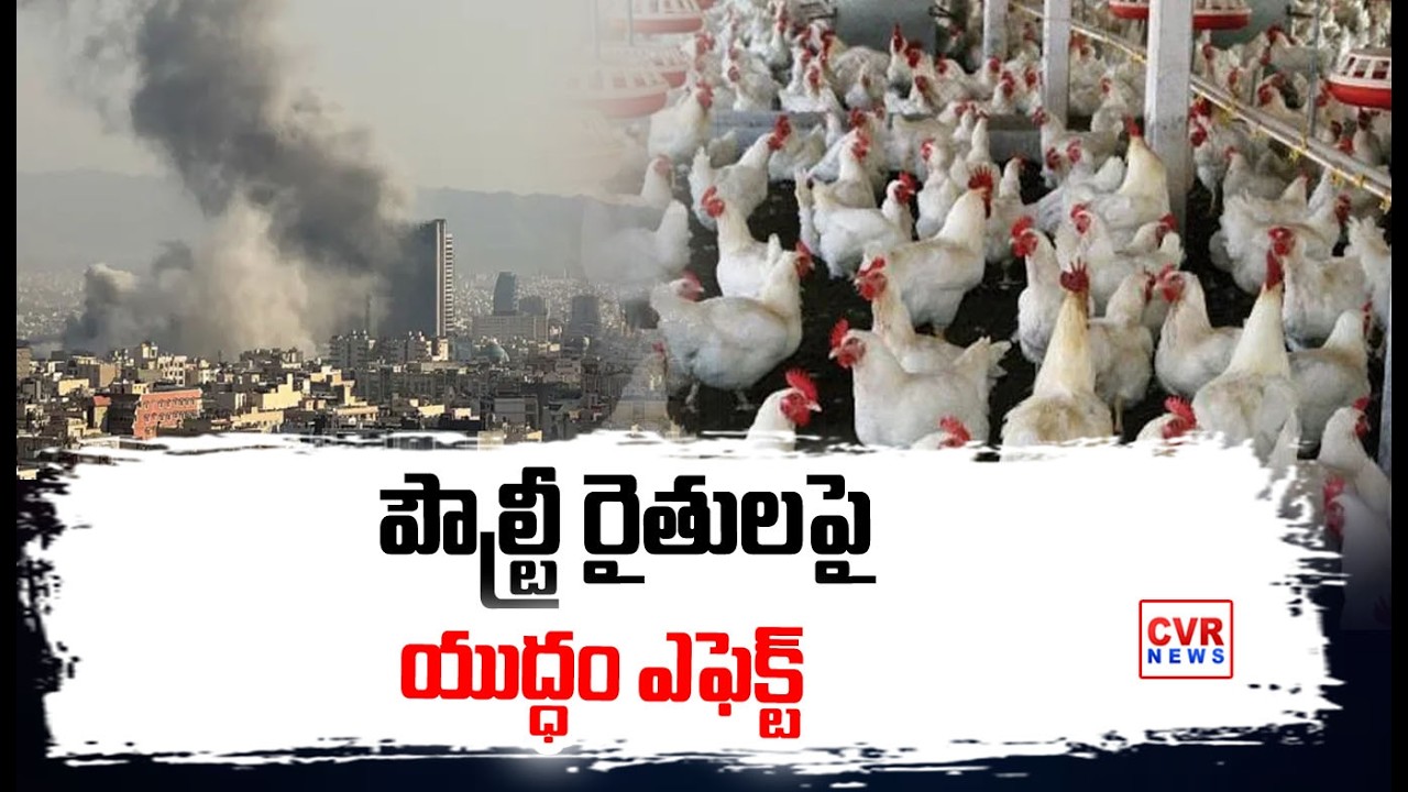 ప.గో. జిల్లా పౌల్ట్రీ రైతులపై తీవ్రంగా యుద్ధ ప్రభావం |  War Impact on Poultry Farmers | CVR NEWS