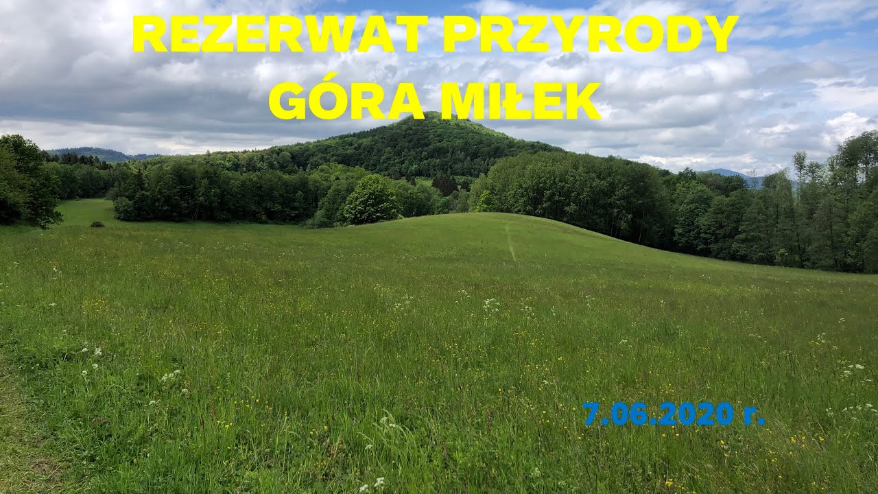 Góra Miłek Rezerwat Przyrody