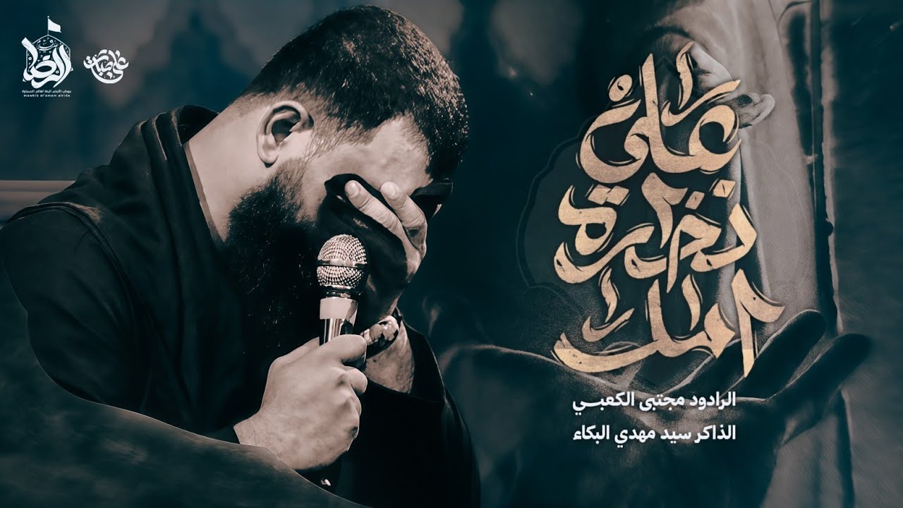 على نظره امل | مجتبى الكعبي|| موكب الامام الرضا 1446 هــ