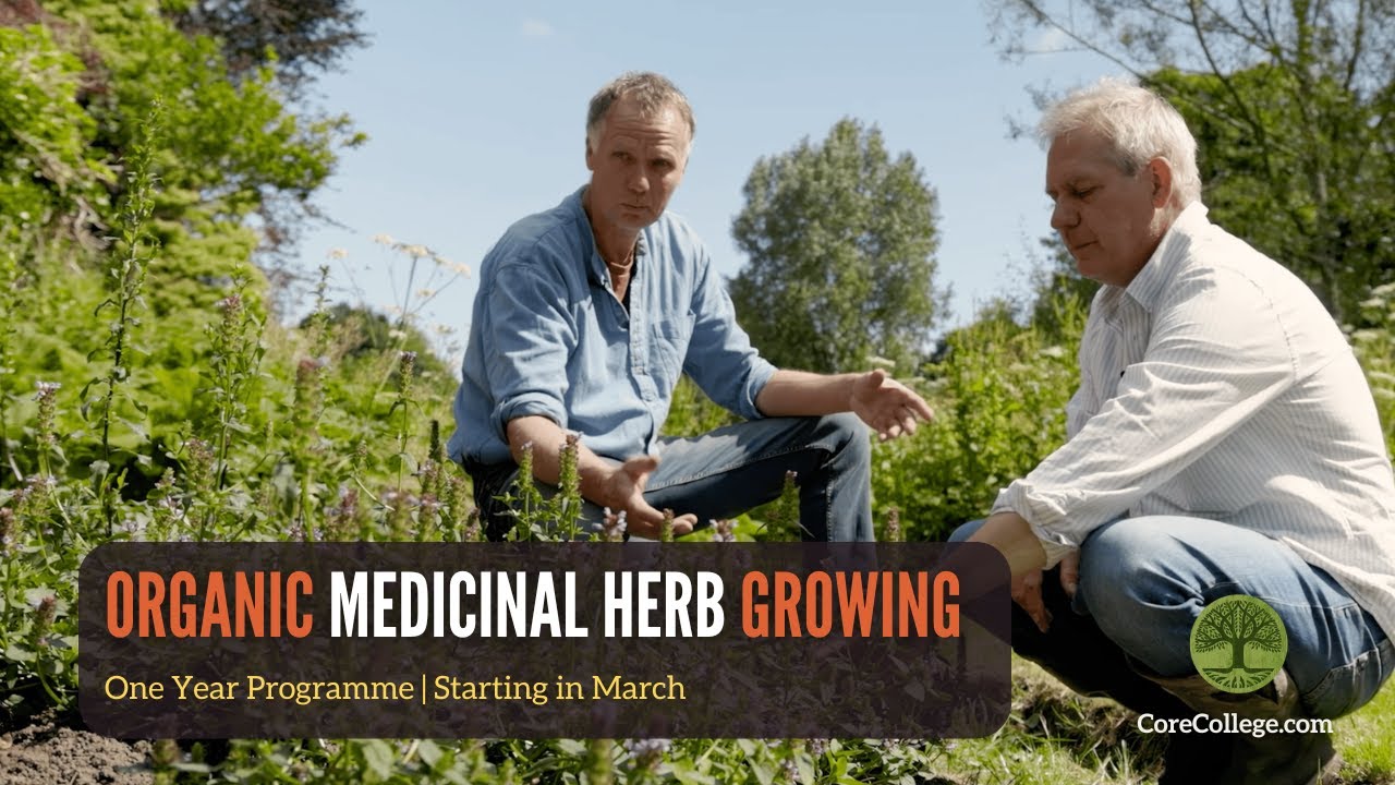 Learn How to Grow Medicinal Herbs Organically