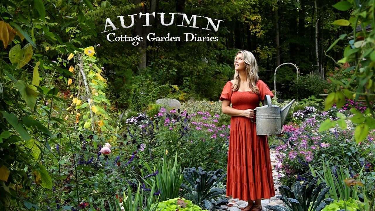 Видеоблог об осеннем садоводстве 🌻 | Посадка хризантем + спокойные осенние дела в саду 🍁 | Дневни...
