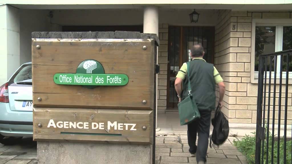 Forestiers par nature : Francis, géomaticien à l’ONF