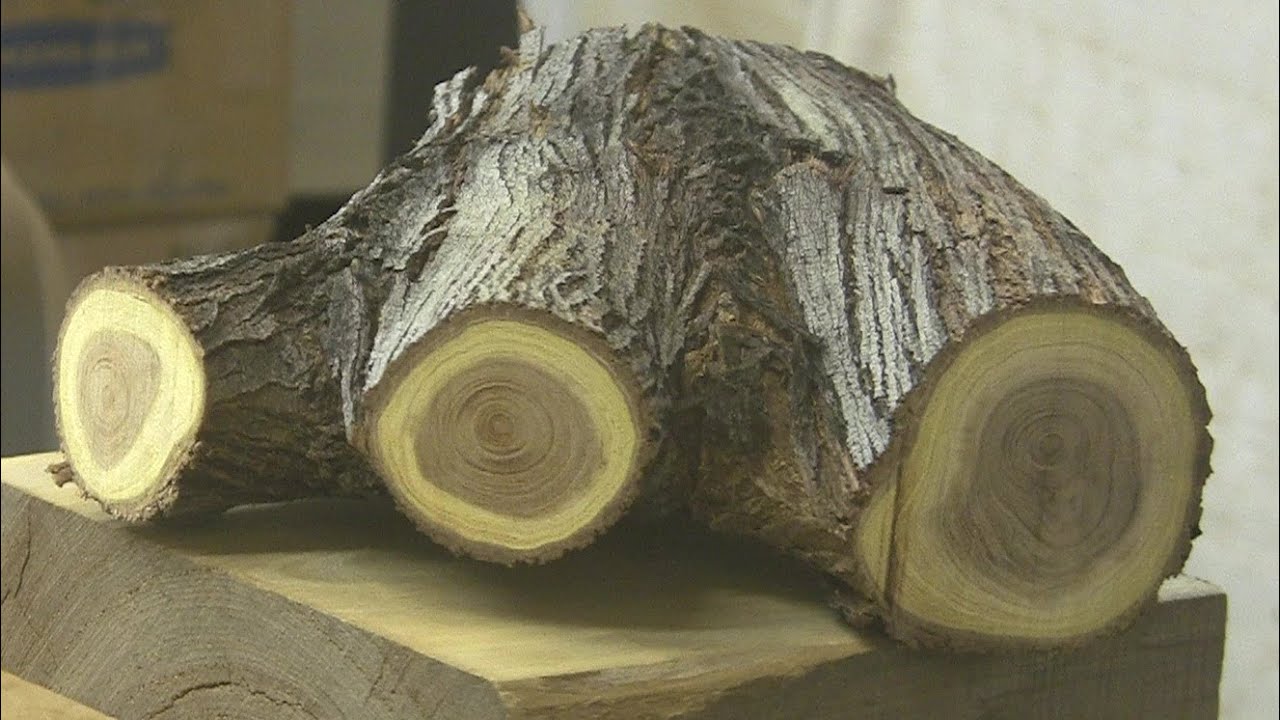 Mesquite Live Edge - Wood Turning