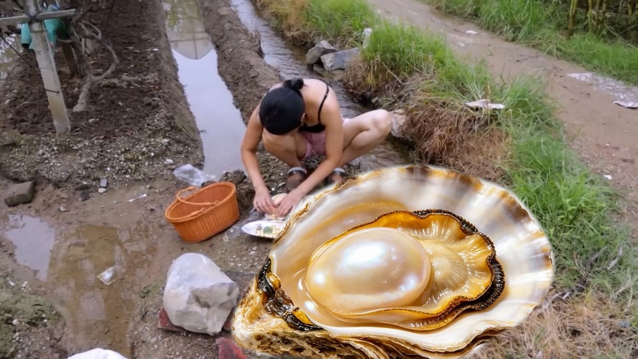 Wow, come and catch it quickly, otherwise the big clam will run away