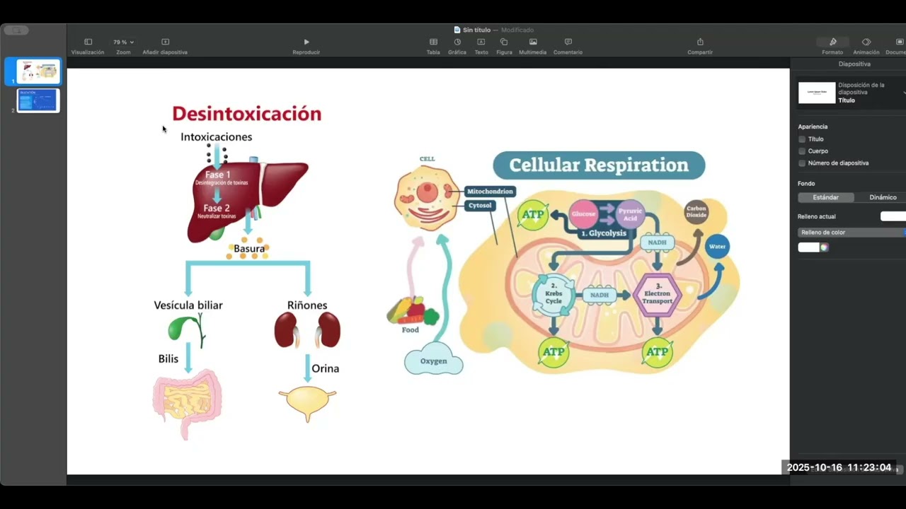 Fran Lucas  & Pilar  neue Technologie Gluthation Neumi