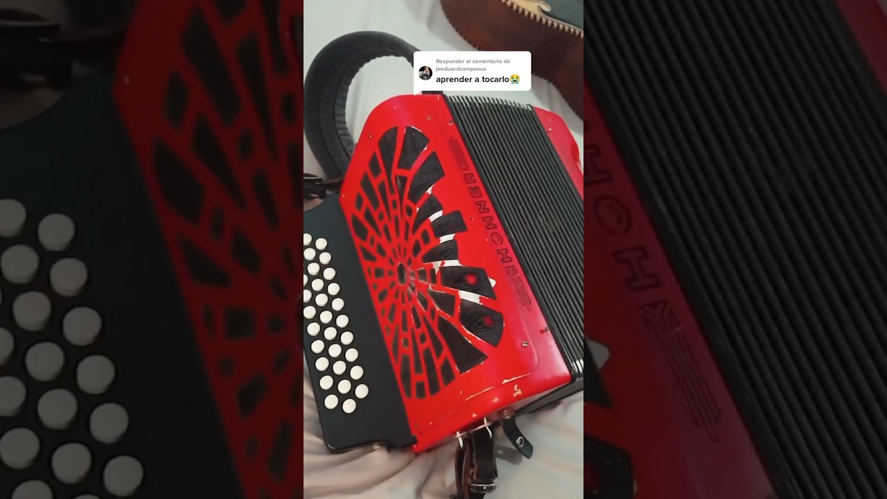 Aprende a tocar el acorde&oacute;n en 2 pasos! 😱🪗