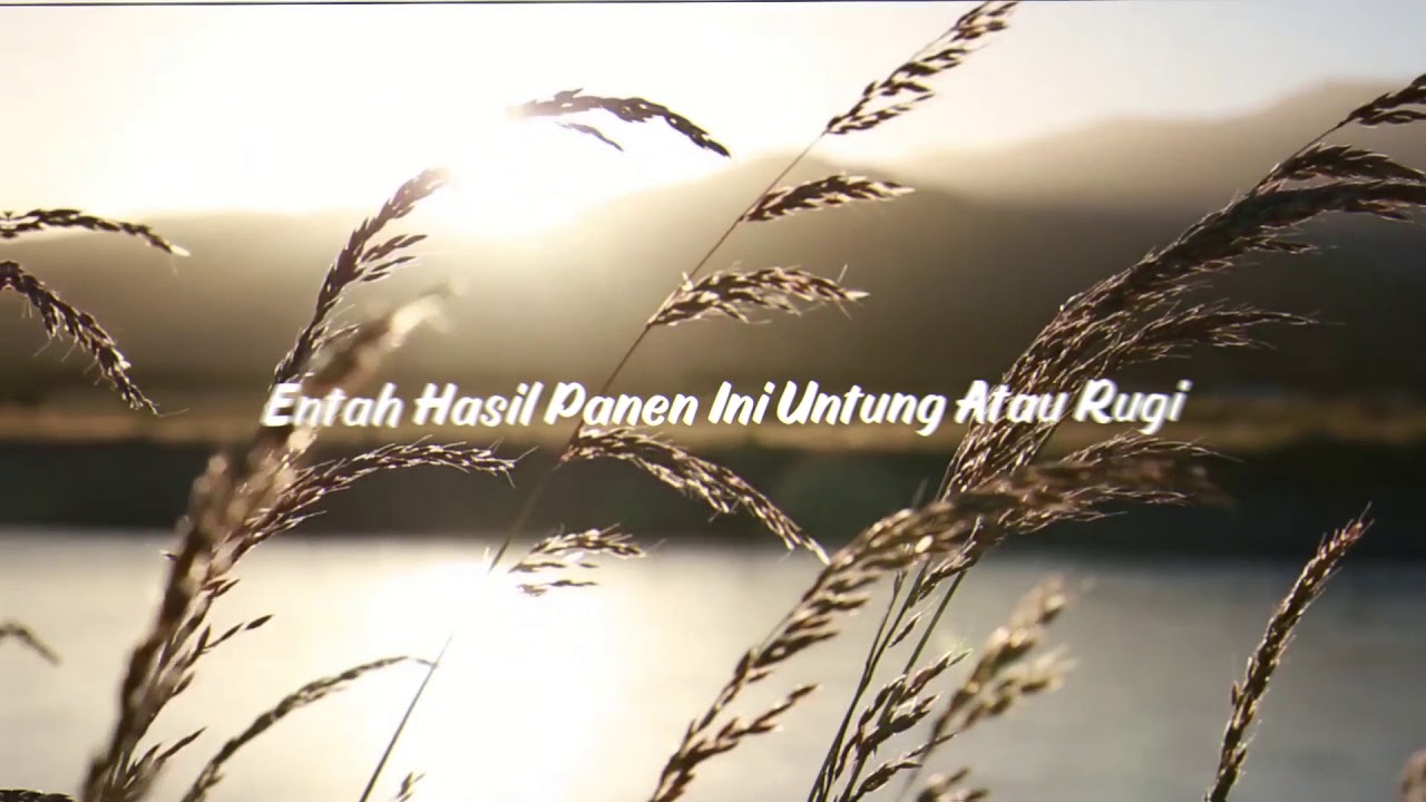Fadfas - 