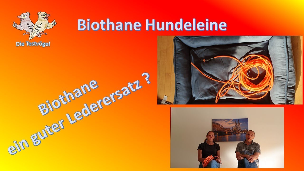 Die Testvögel  haben eine Biothane Leine im Quickcheck getestet.