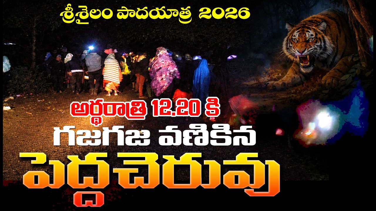 అర్థరాత్రి 12.20కు పులి భయంతో గజగజ వాణికిన పెచ్చెరువు. venkatapuram to srisailam padayatra 2026