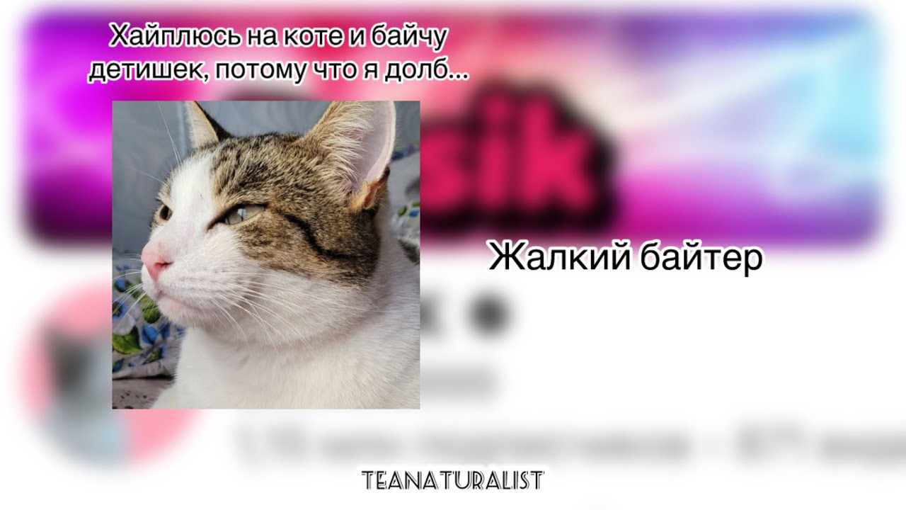 Дусик - самый жалкий байтер Ютуба (feat. Bumblebee) / Чайный натуралист☕️