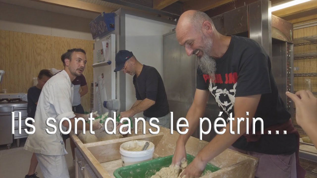 Ils sont dans le pétrin. Atelier pétrissage pain au levain au Fournil d'Alex #tvsevreetmaine