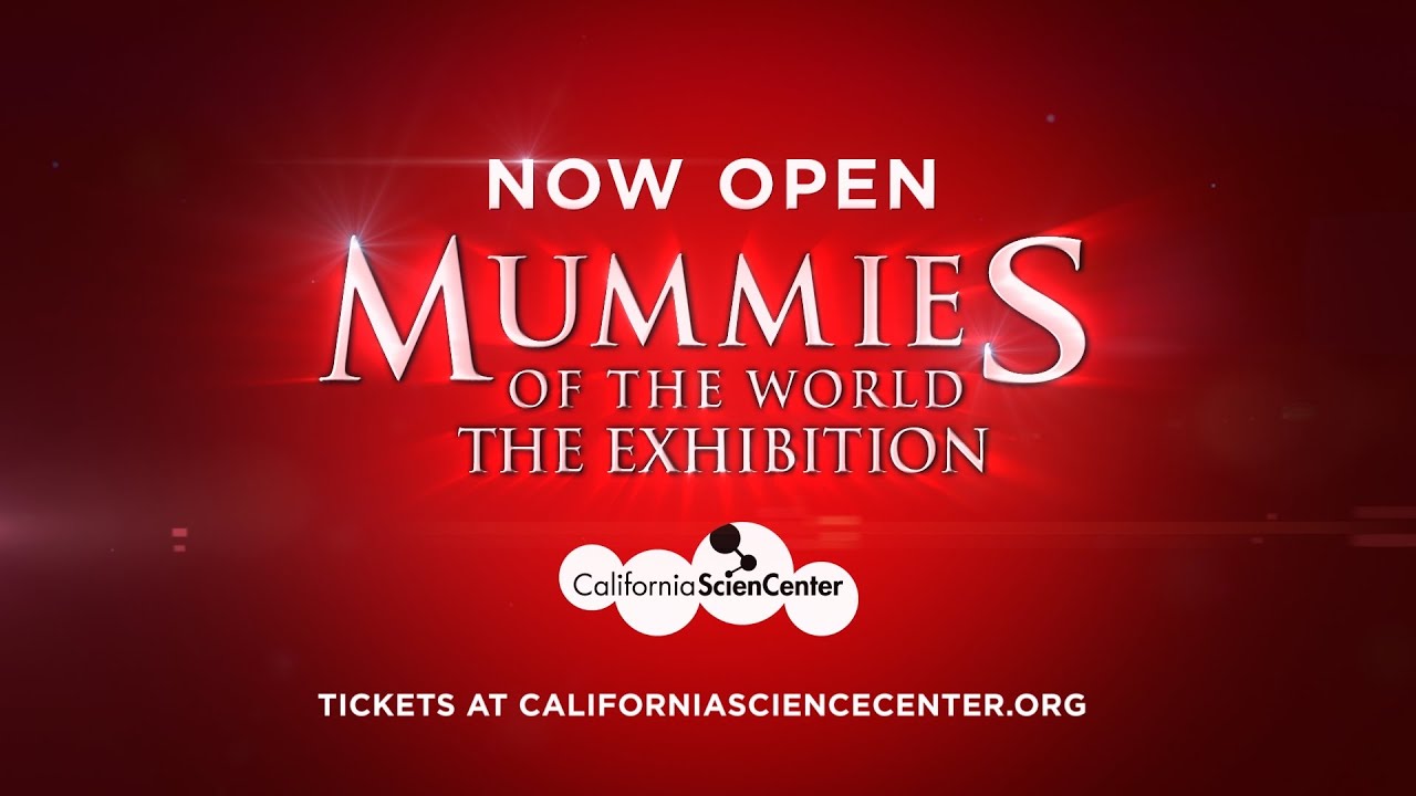Mummies of the World: The Exhibition | Now Open!